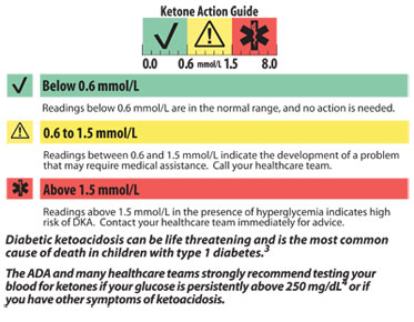 Cover Art for the Ketone Action Guide Brochure